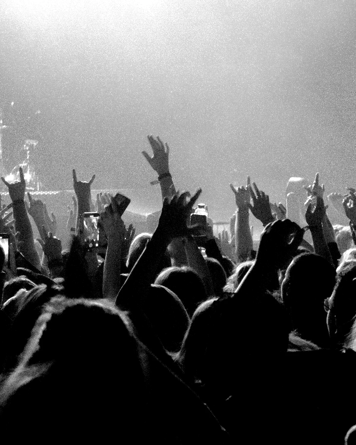 Audience with hands raised during a LIVEST show.